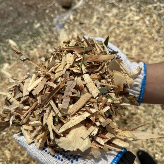  Chipease 9HP 270CC Wood Chipper Mulcher ( D900 )